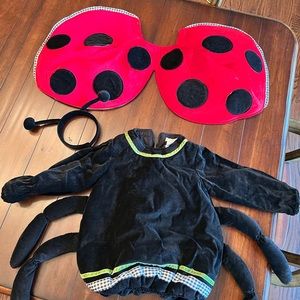 Pottery Barn Kids lady bug Halloween costume. Size 2T/3T